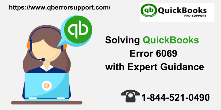 QuickBooks error 6069